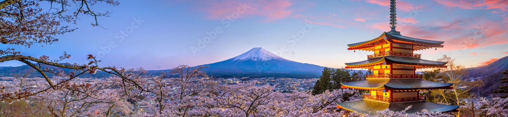 Cabecera web para CDTI-SOST Japón