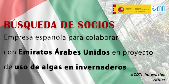 BS_EmiratosArabesUnidos_0409_