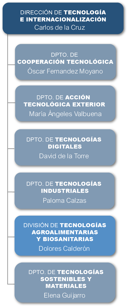 Dirección de tecnología e internacionalización Mayo 2025