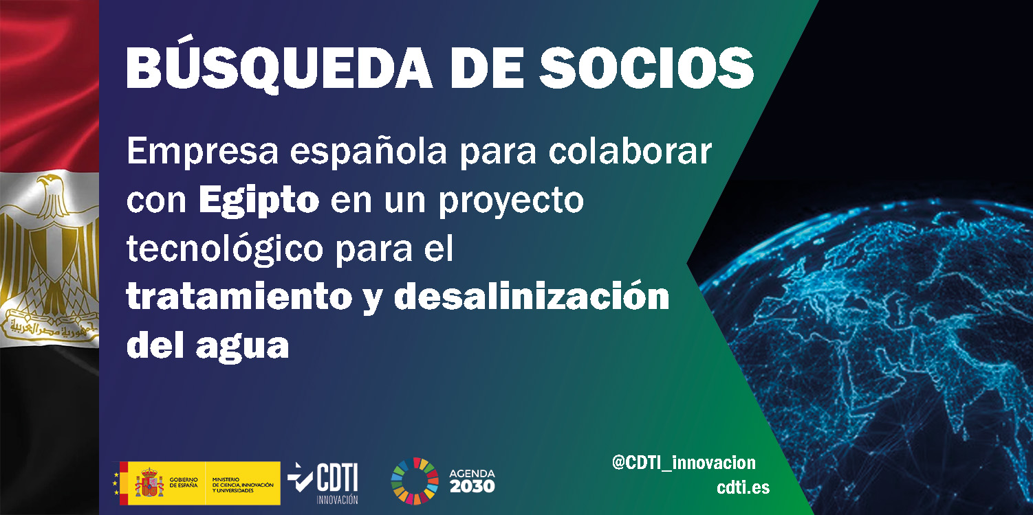 Búsqueda de socios Egipto 17Sept25