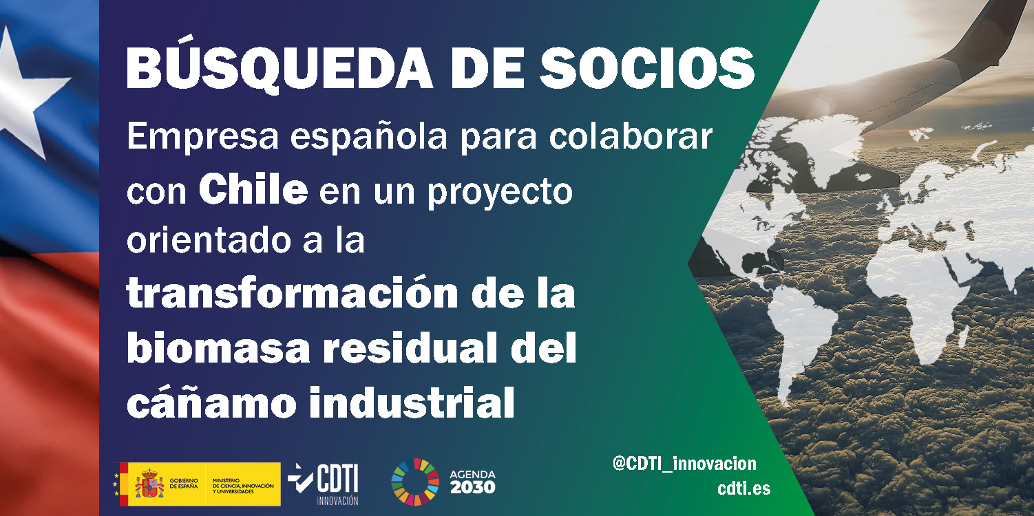 Búsqueda de socios Chile 10Sept25