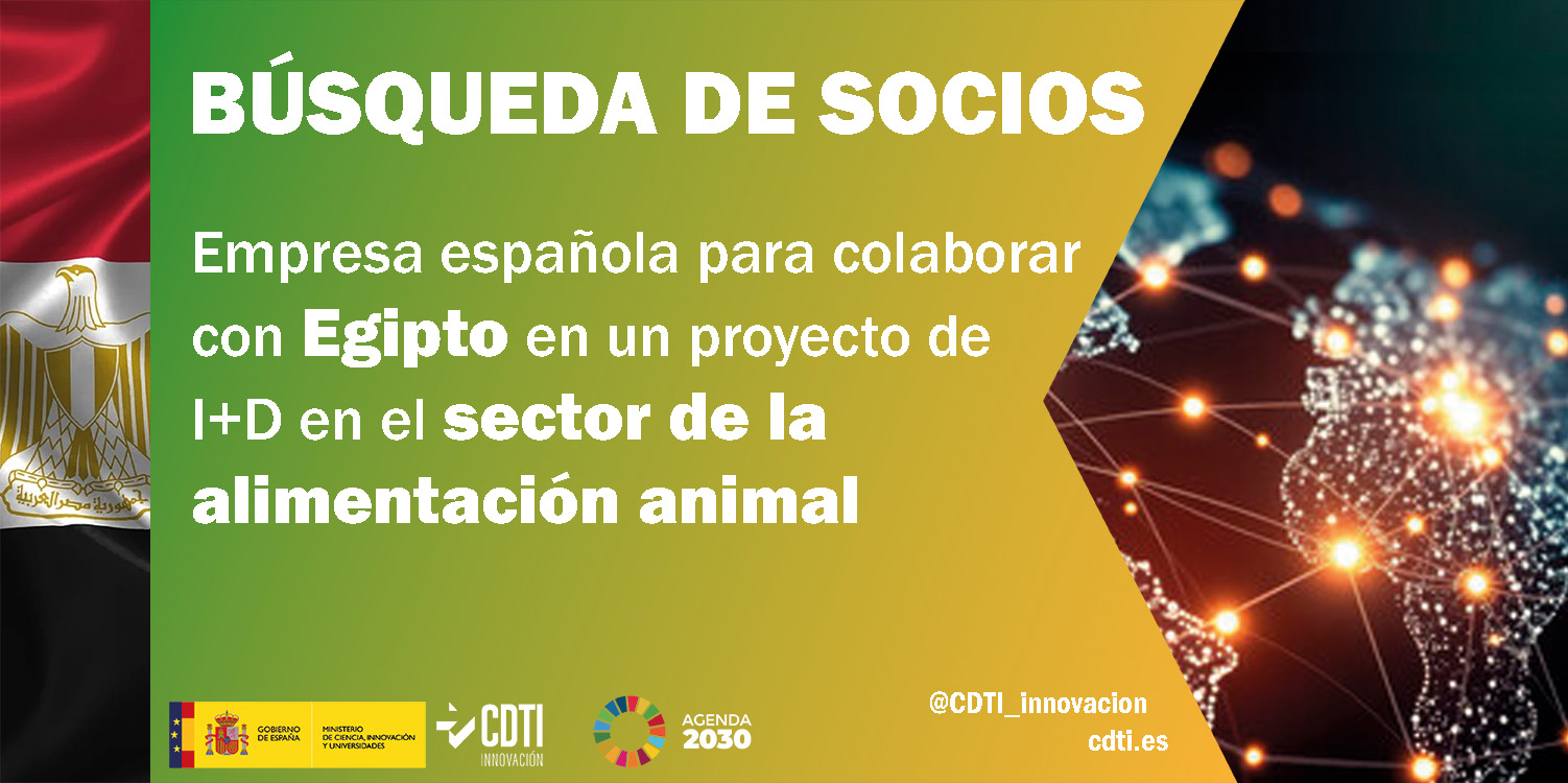 Búsqueda de socios Egipto 19Sept25
