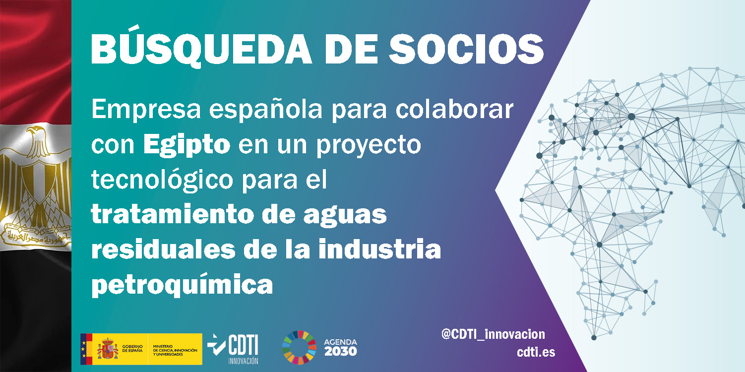 Búsqueda de socios Egipto 29Sept25