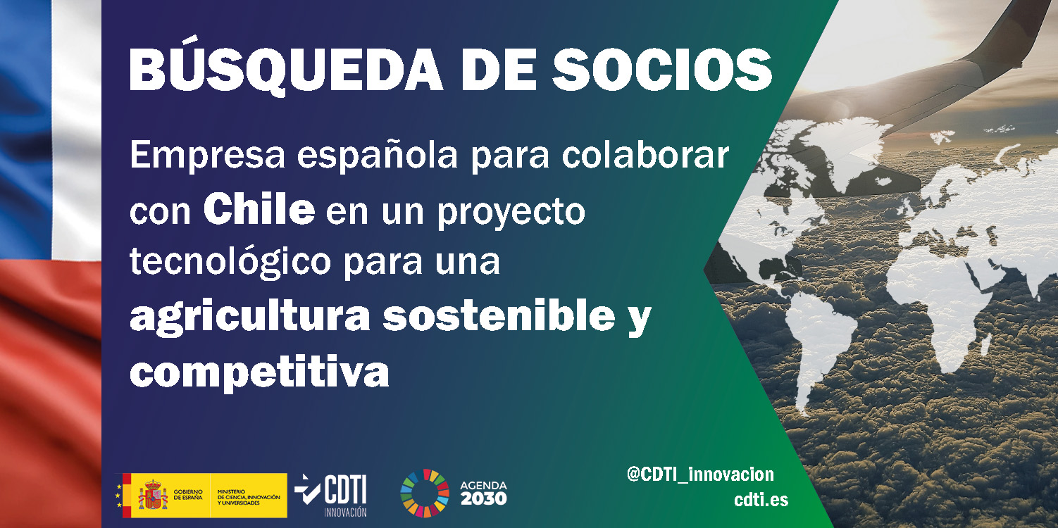 Búsqueda de socios Chile 06Oct25