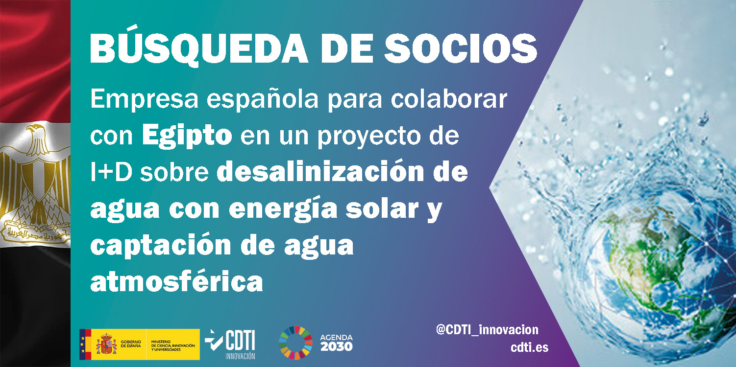 Búsqueda de socios Egipto 10Oct25