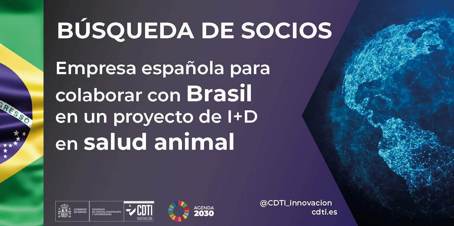 Búsqueda de socios Brasil 19Feb26