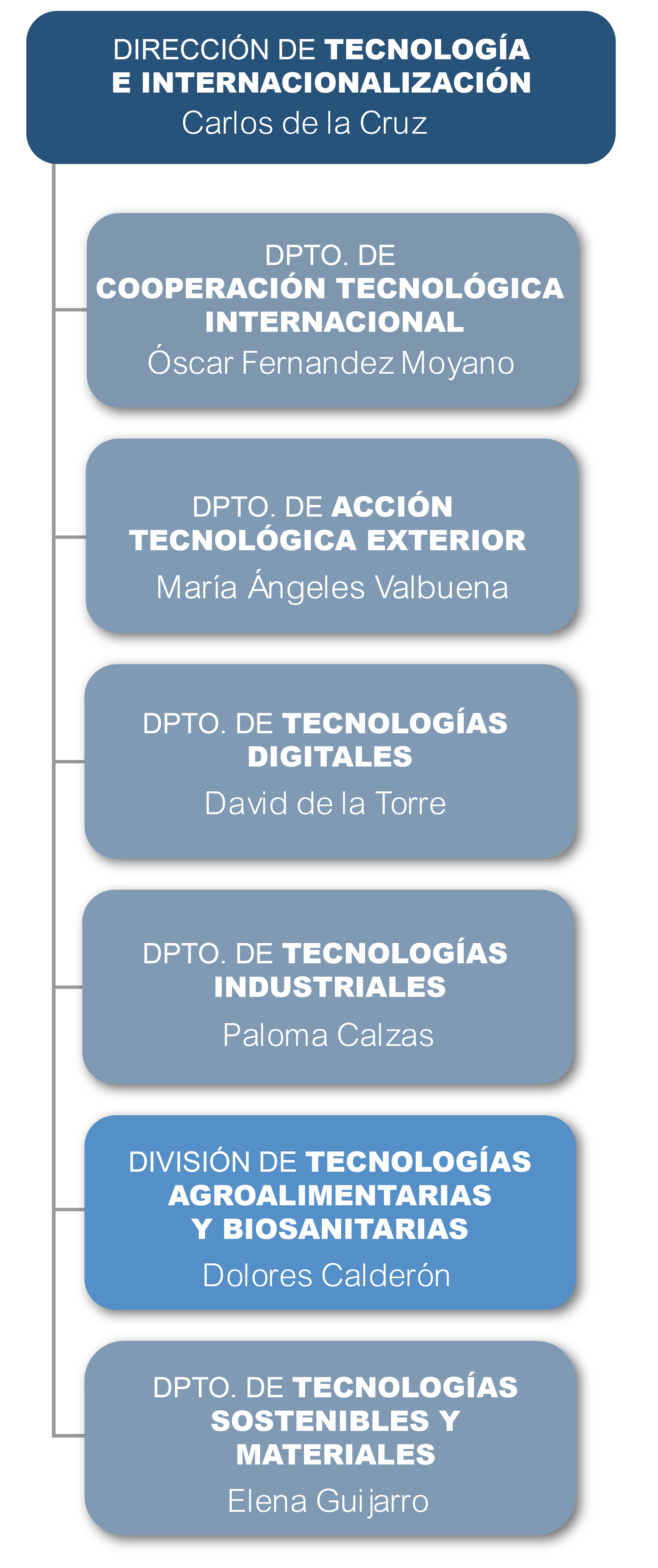 Dirección de Tecnología e Internacionalización