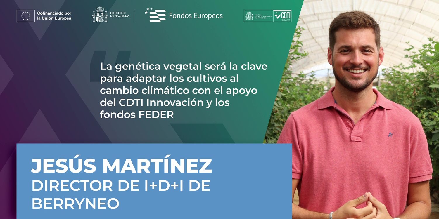 Jesús Martínez, director de I+D+i de Berryneo