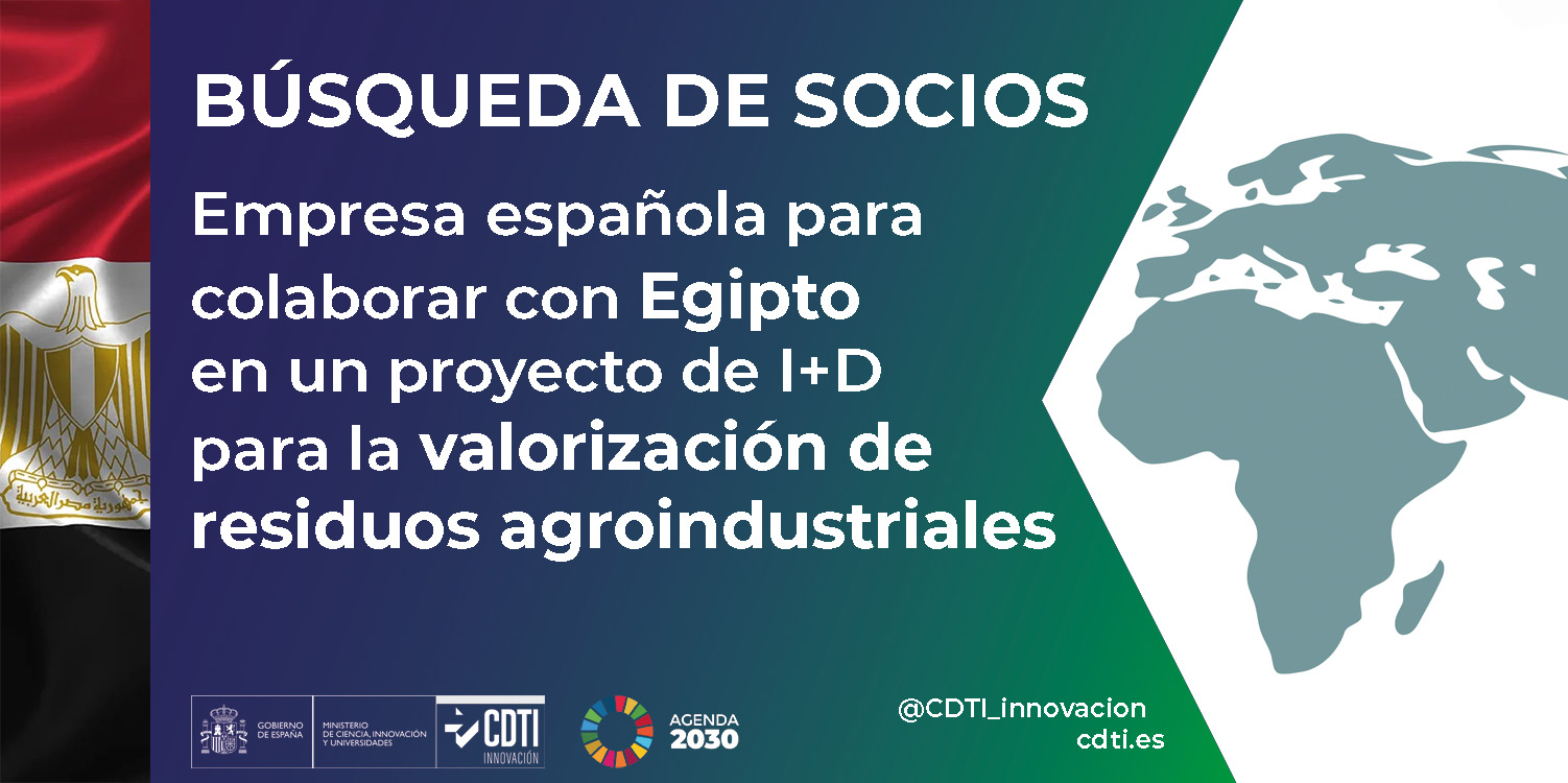 Búsqueda de socios Egipto 21Sept26
