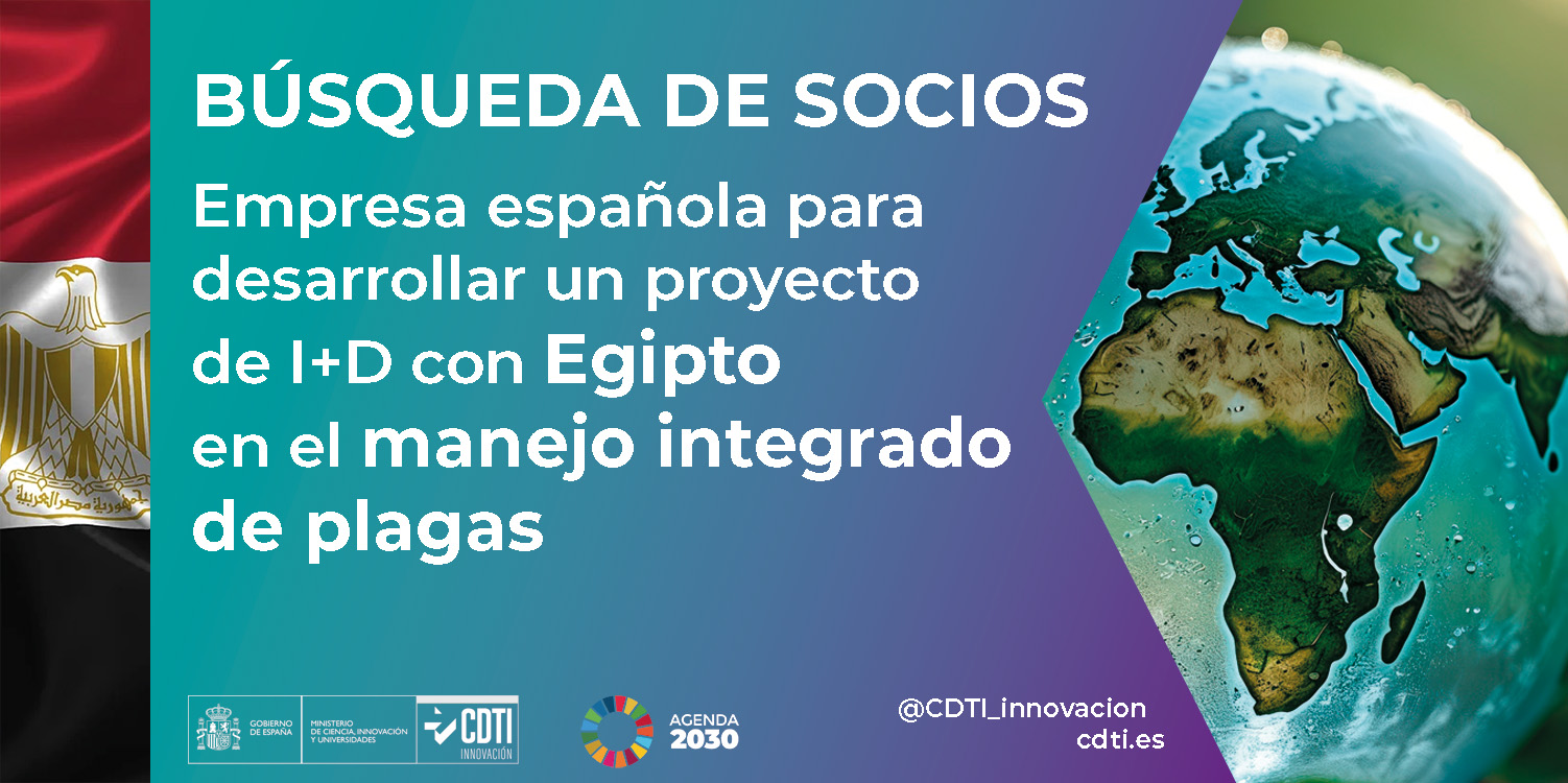 Búsqueda de socios Egipto 23Sept26