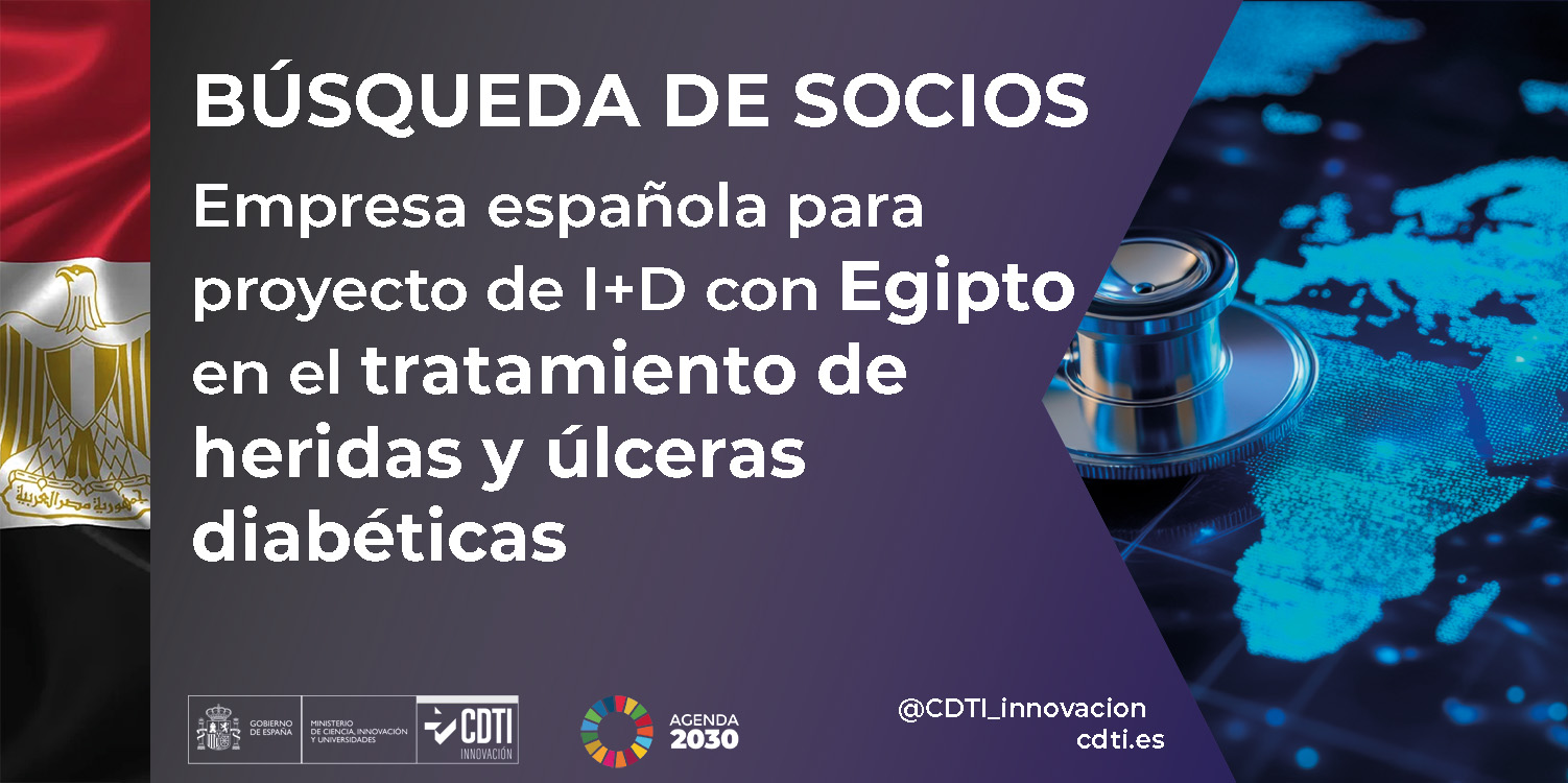 Búsqueda de socios Egipto 24Sept26