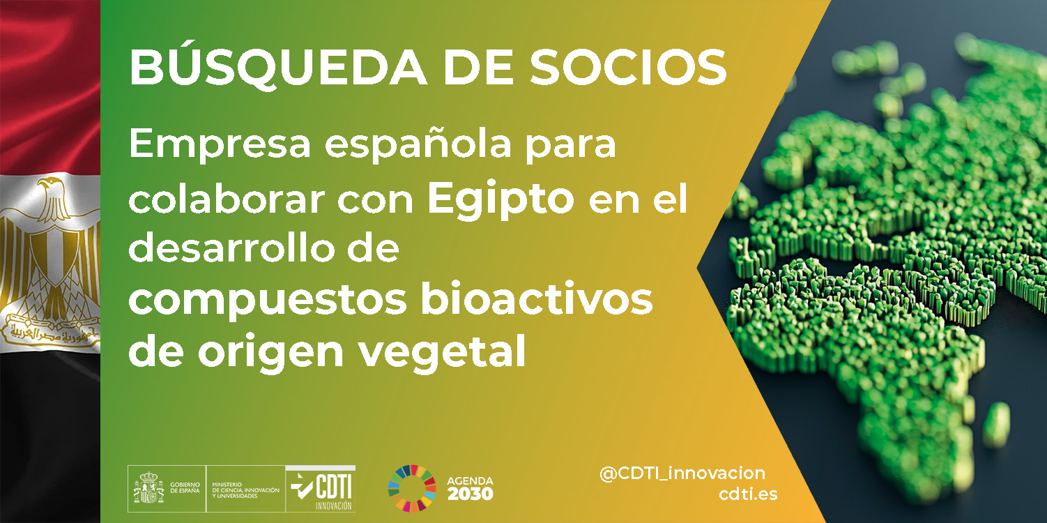 Búsqueda de socios Egipto 28Sept26