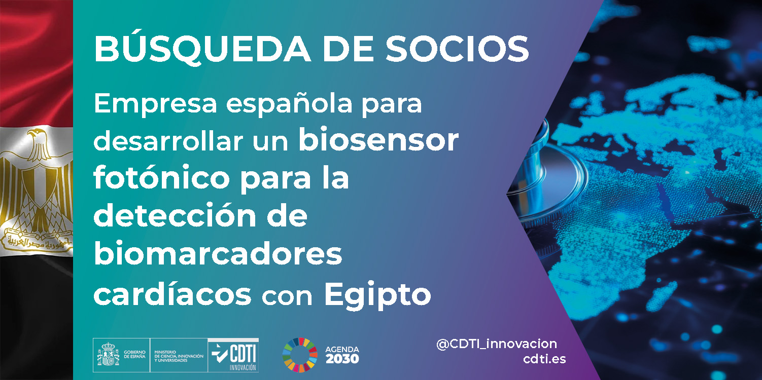 Búsqueda de socios Egipto 23Oct26
