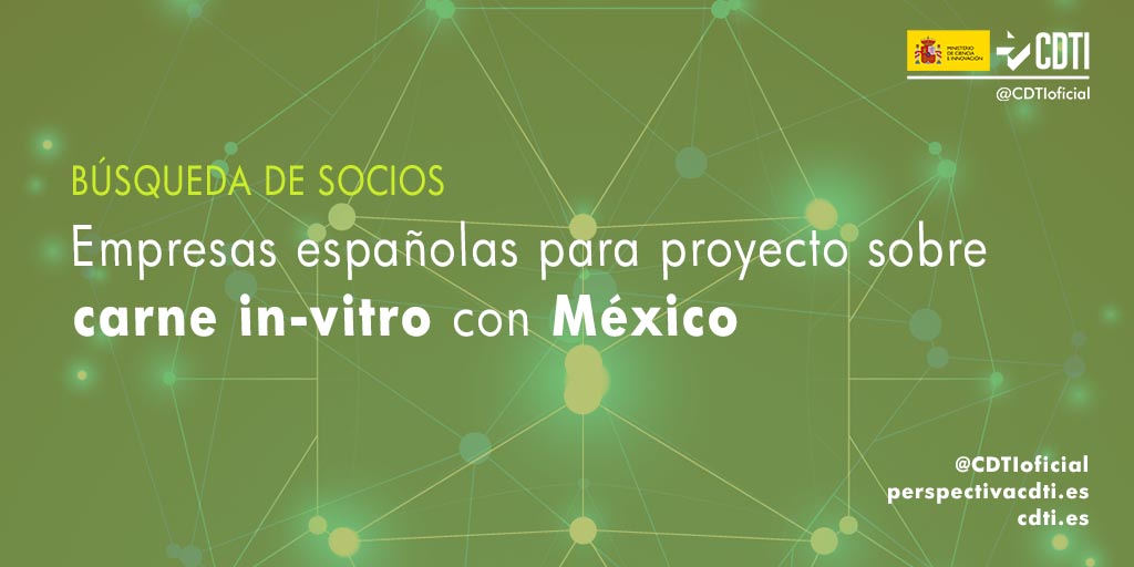 Búsqueda de socios españoles para colaborar con México en un proyecto tecnológico sobre carne in vitro