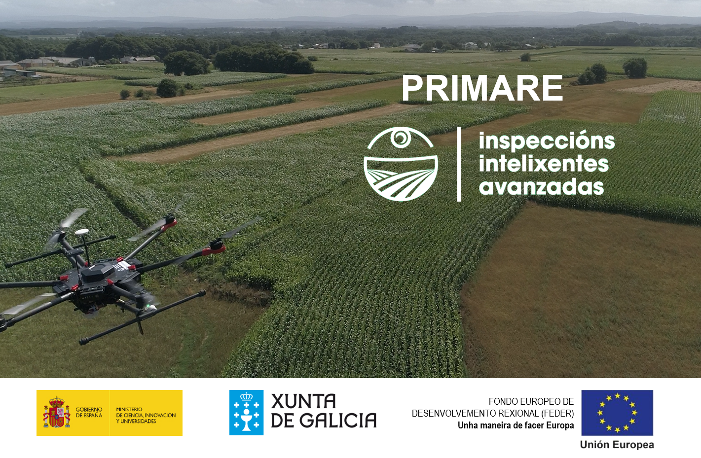 Poster Primare