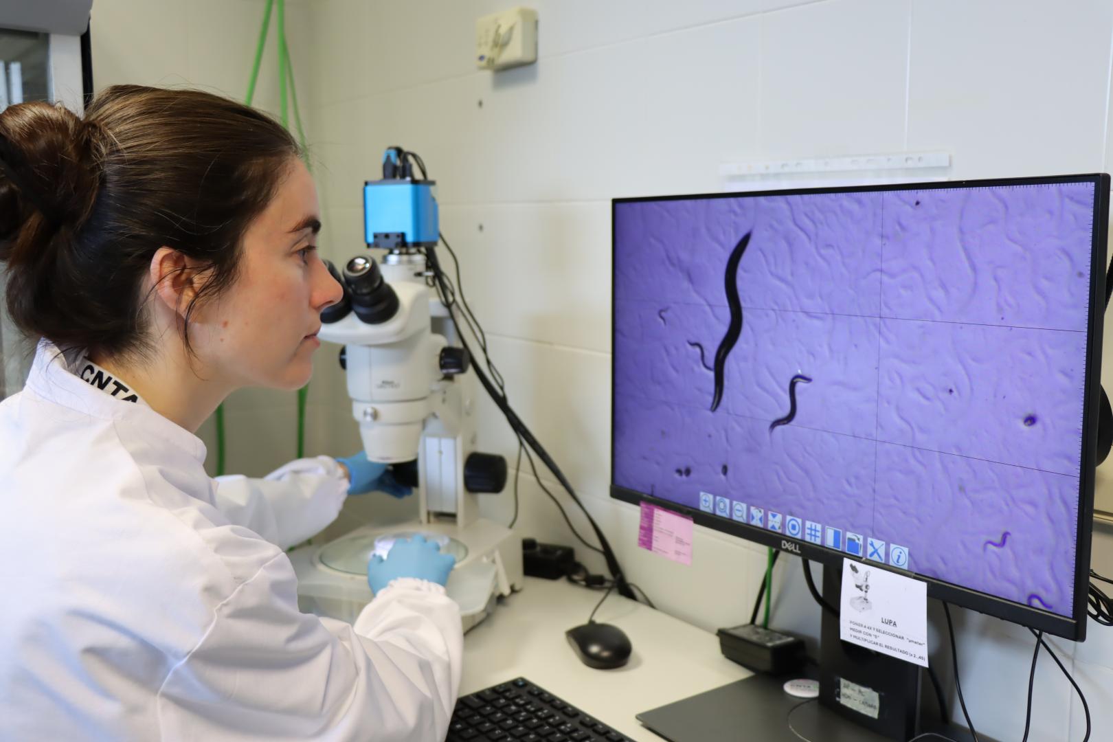 Trabajo de laboratorio en CNTA para el desarrollo de la nutrición de precisión