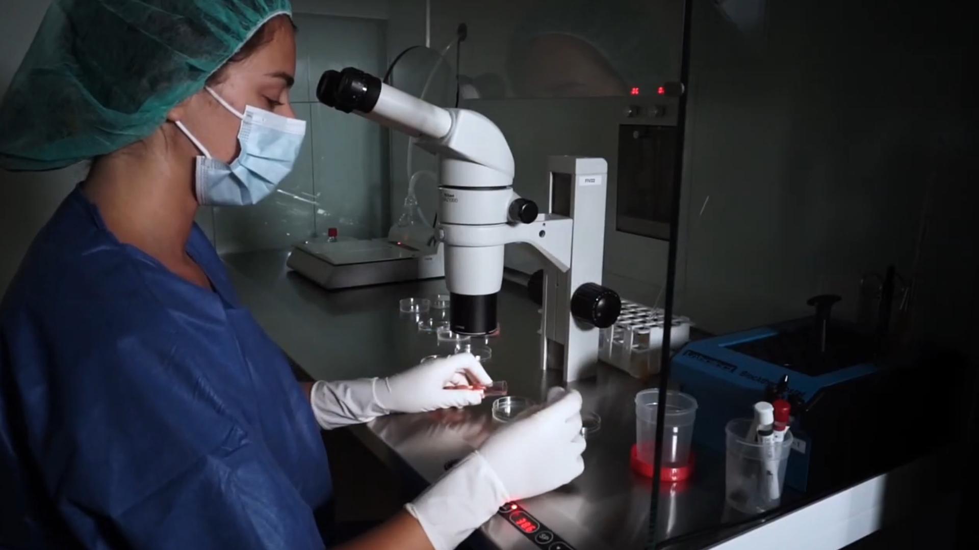 Personal e instalaciones del laboratorio Bionac (INEBIR)