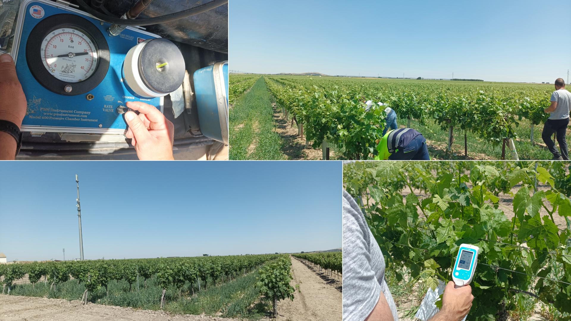 MOVIALSAren proiektua Gaztela-Mantxan