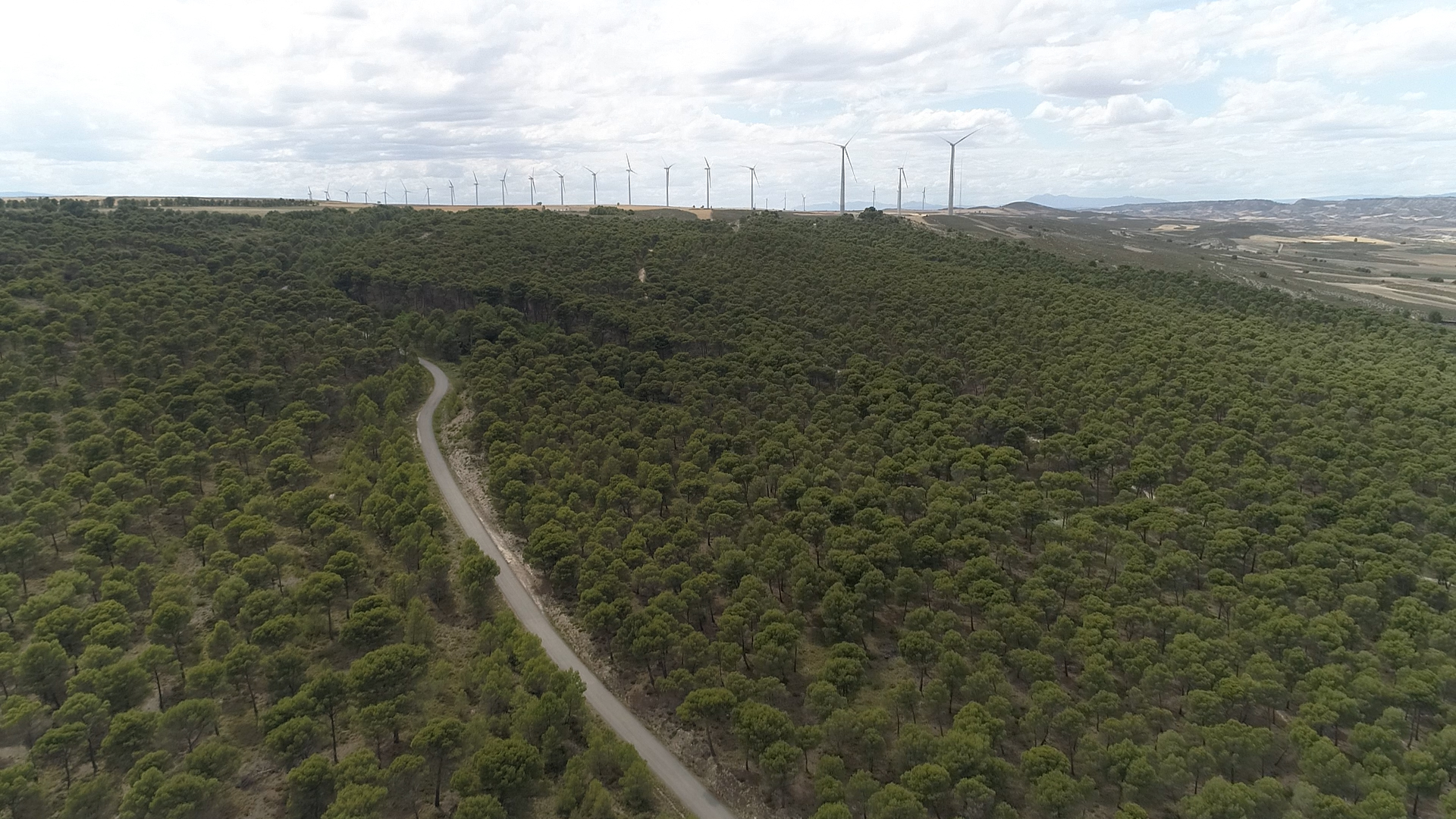 Foto de dron de vegetación circundante a un parque eólico, susceptible de propagar un incendio forestal