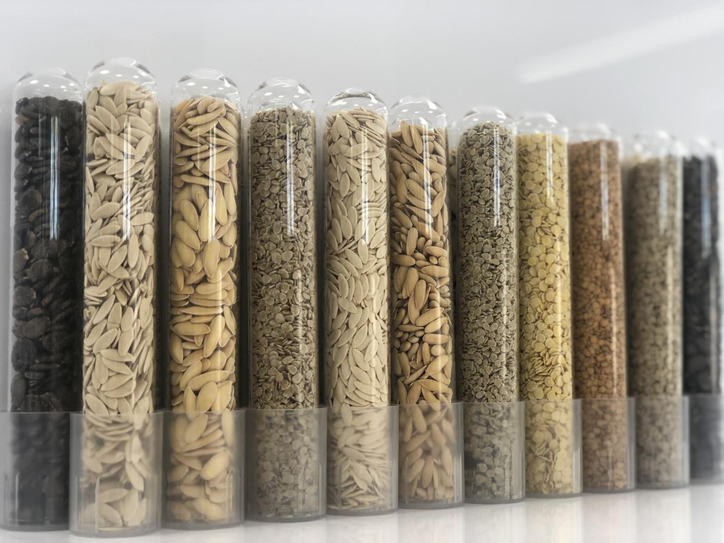 Muestras de semillas de la empresa Huerta Valle Hibri2