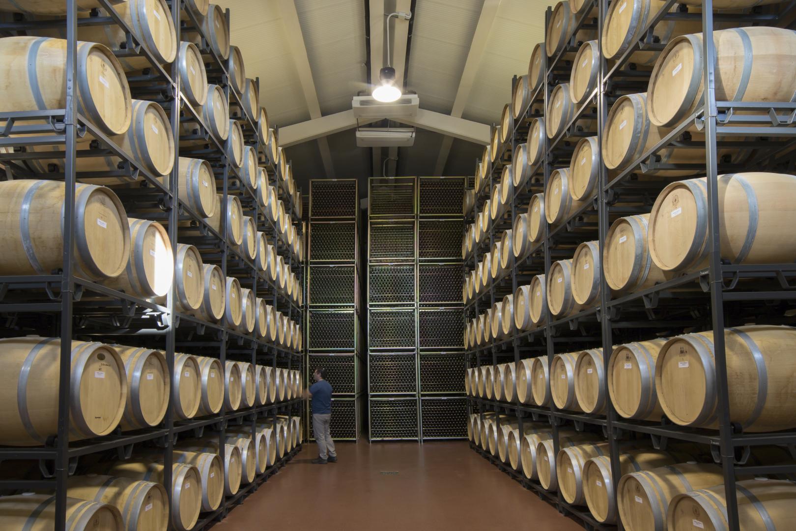 Sala de crianza