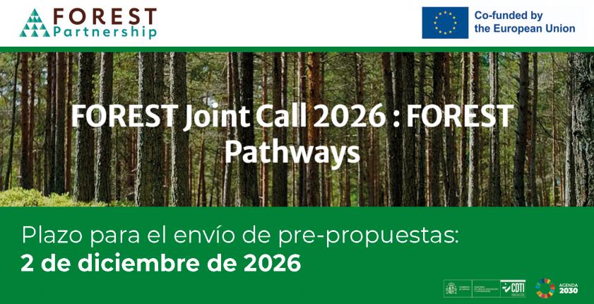 Convocatoria 2026 FOREST