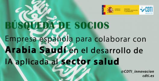 Búsqueda socios Arabia Saudí 0502205