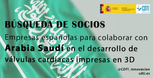 Búsqueda socios Arabia Saudí 13feb25