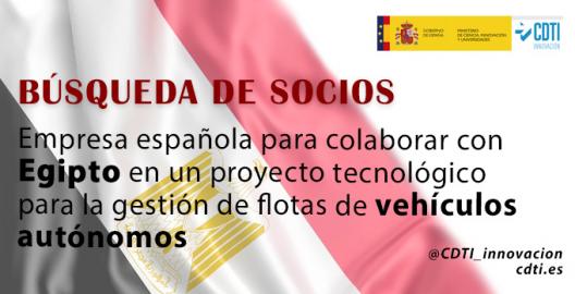 Búsqueda socios Egipto 14feb25