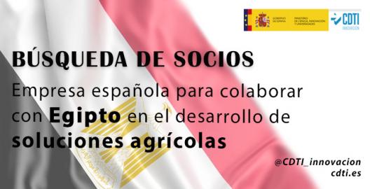 Búsqueda socios Egipto 21feb25