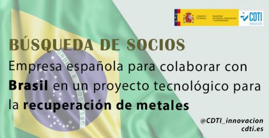 Búsqueda socios Brasil 26feb25