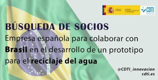 Búsqueda socios Brasil 05marzo25