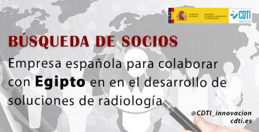 Búsqueda socios Egipto 14Marzo25