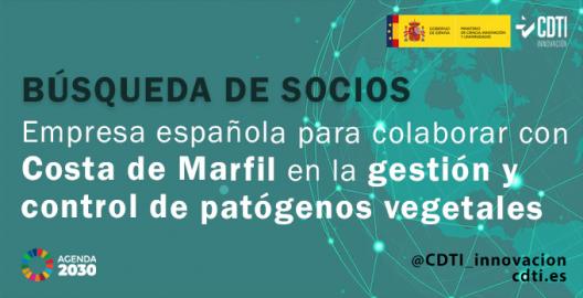 Búsqueda socios Costa de Marfil 6Mayo25