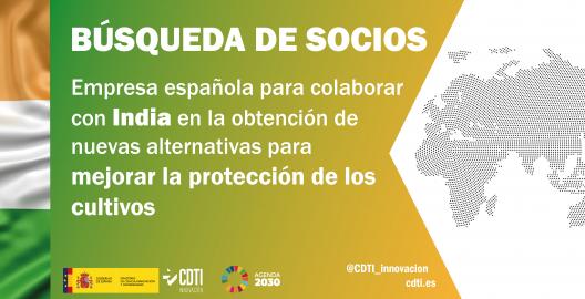 Búsqueda socios India 12Mayo25