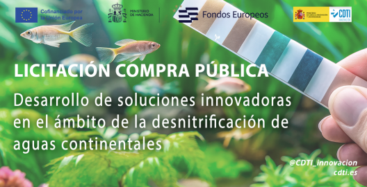 Licitación CPP Recupera