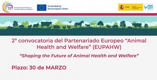 2ª convocatoria EUPAHW