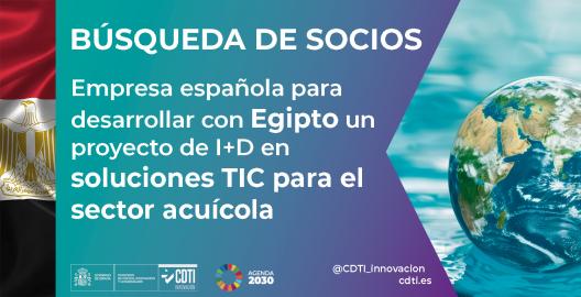 Búsqueda de socios Egipto 21Abril26