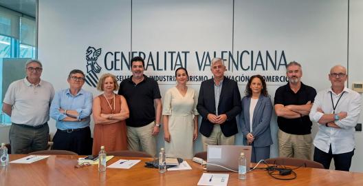 8ª Comisión Mixta Valencia