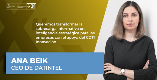 Ana Beik, CEO de Datintel