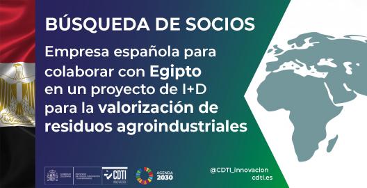 Búsqueda de socios Egipto 21Sept26