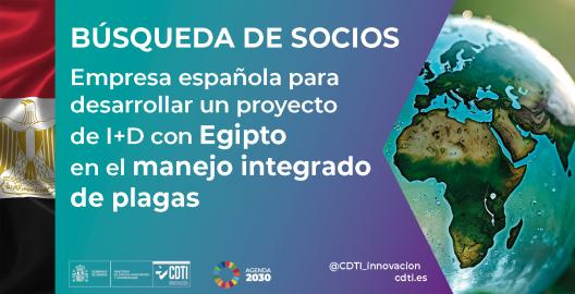 Búsqueda de socios Egipto 23Sept26