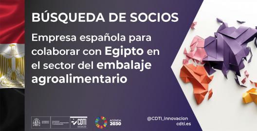 Búsqueda de socios Egipto 01Oct26