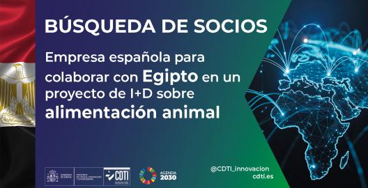 Búsqueda de socios Egipto 7Oct26