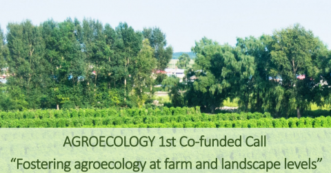 Imagen Agroecology